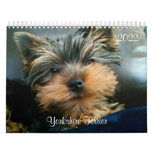 Yorkshire Terrier Yorkies 2022 Calendar Kalender (Omslag)