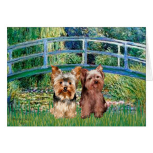 Yorkshire Terriers (17-18) - Bridge Hälsningskort