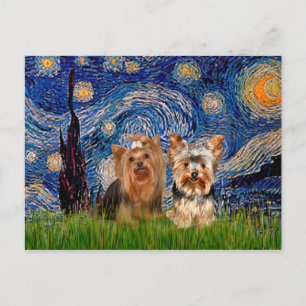 Yorkshire Terriers (7 och 17) - Starry Night Vykort