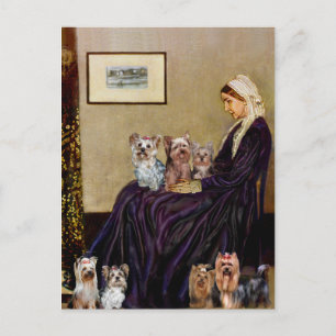 Yorkshire Terriers (sju) - Whistlers Mor Vykort