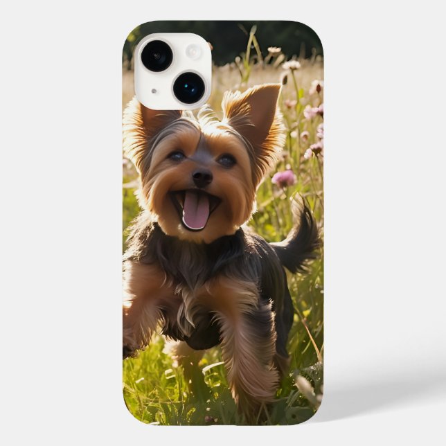Yorkshire Terriers spelar i Grass (Baksida)