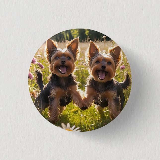 Yorkshire Terriers spelar i Grass Knapp (Framsida)