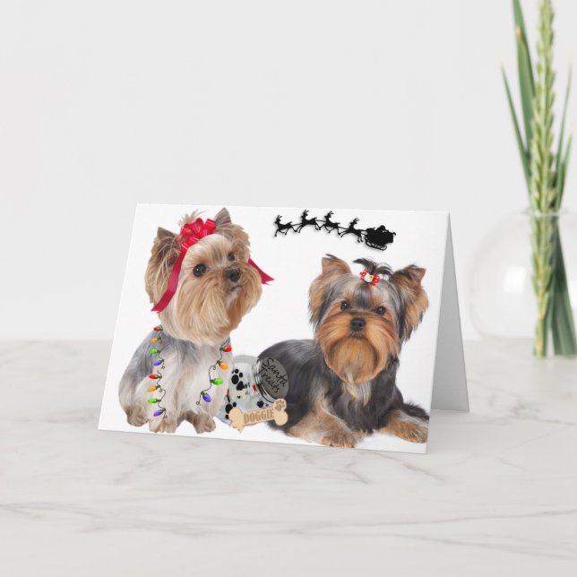 Yorkshire Terriers tror på julkort Helgkort (Framsida)
