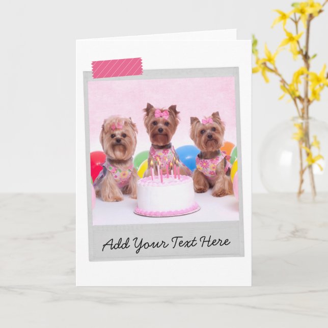 Yorkshire Terriers Yorkies Birthday Cake Funny Kort (Gul blomma)