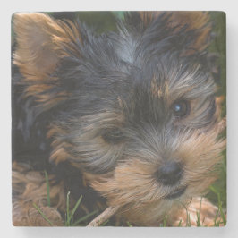 Yorkshire Underlägg Sten