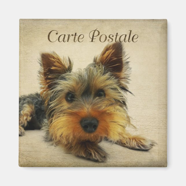 Yorkshire Vintage Postcard Magnet (Framsidan)