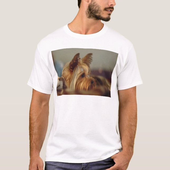 Yorkshireterrier Tee Shirt (Framsida)