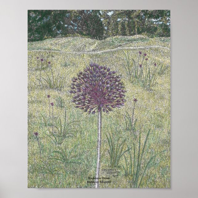 Yorktown Onion Poster (Framsidan)