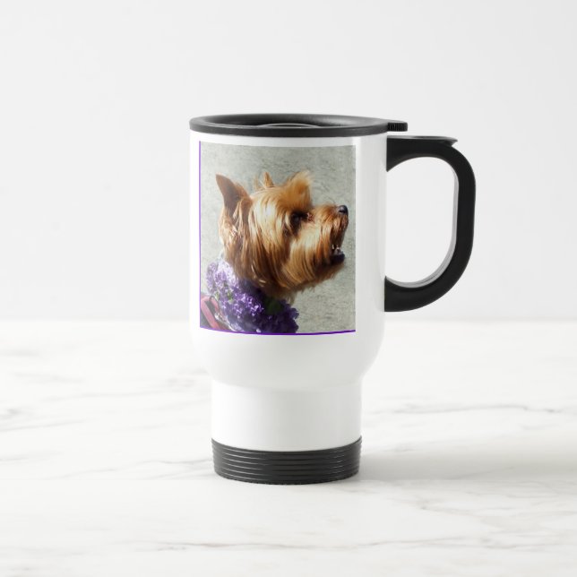 Yorshire Terrier Mugg (Höger)