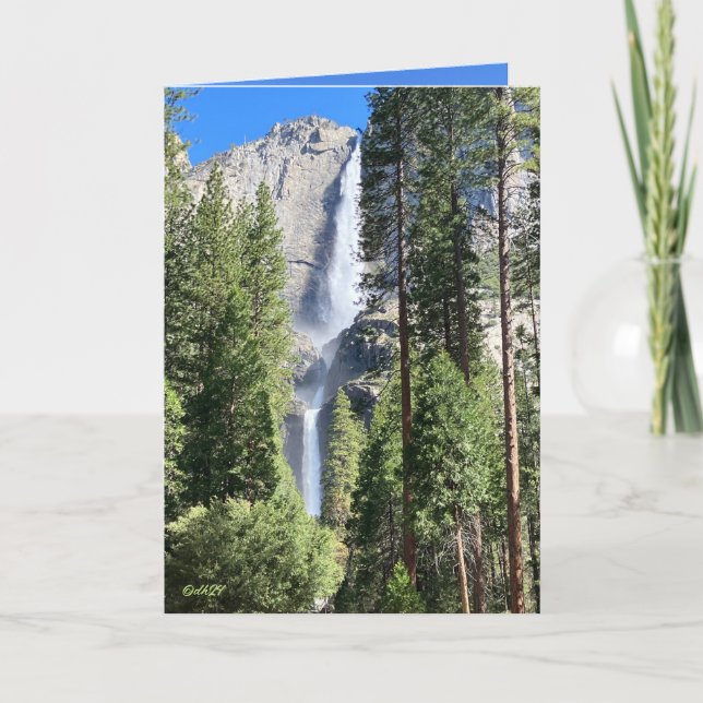 Yosemit 2024 kort (Framsida)