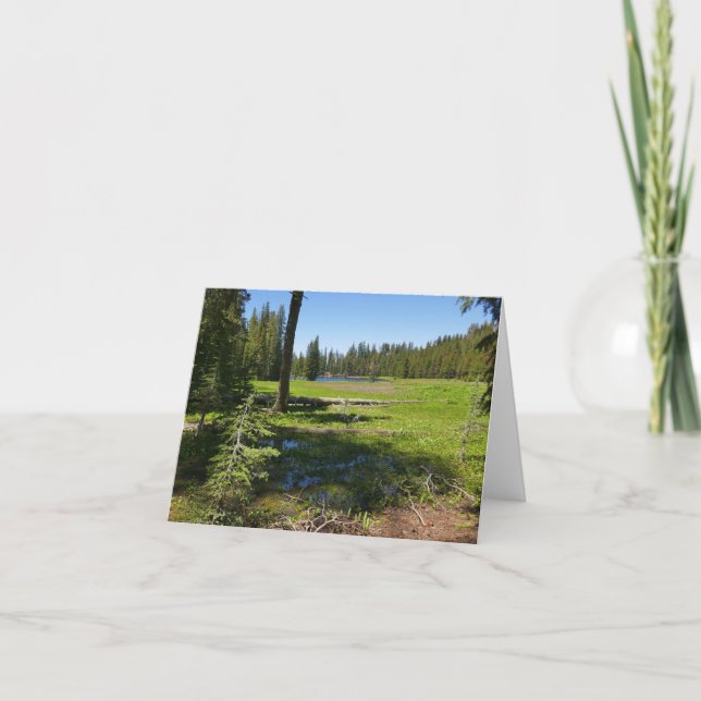 Yosemite äng med stjärnfall kort (Framsida)