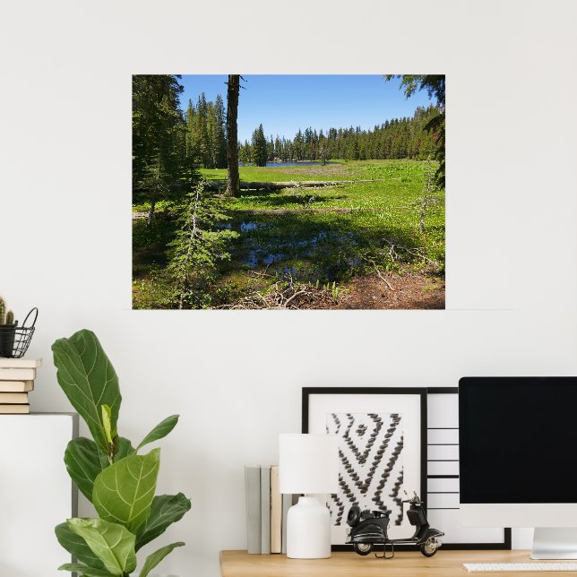 Yosemite äng med stjärnfall poster (Hemmakontoret)