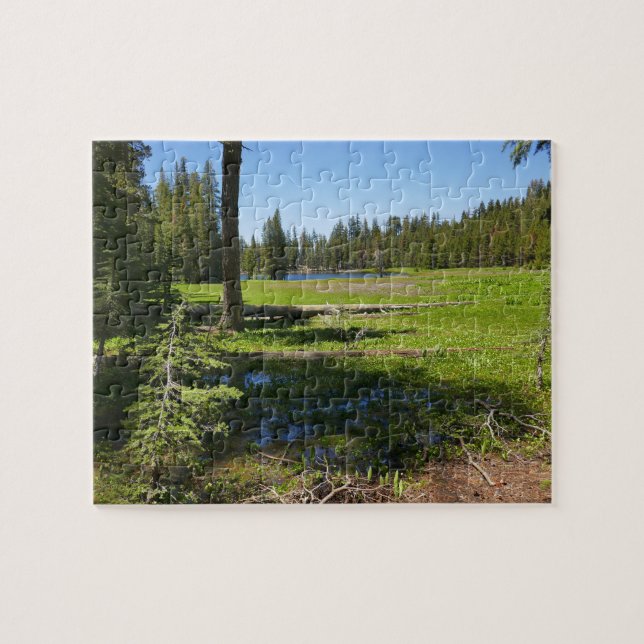 Yosemite äng med stjärnfall pussel (Horisontell)