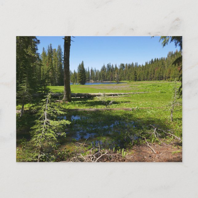 Yosemite äng med stjärnfall vykort (Framsida)