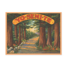 Yosemite California vintage scen