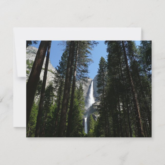 Yosemite Falls and Skogen Ligcape Photography (Framsida)