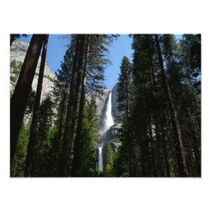 Yosemite Falls and Skogen Ligcape Photography Fototryck
