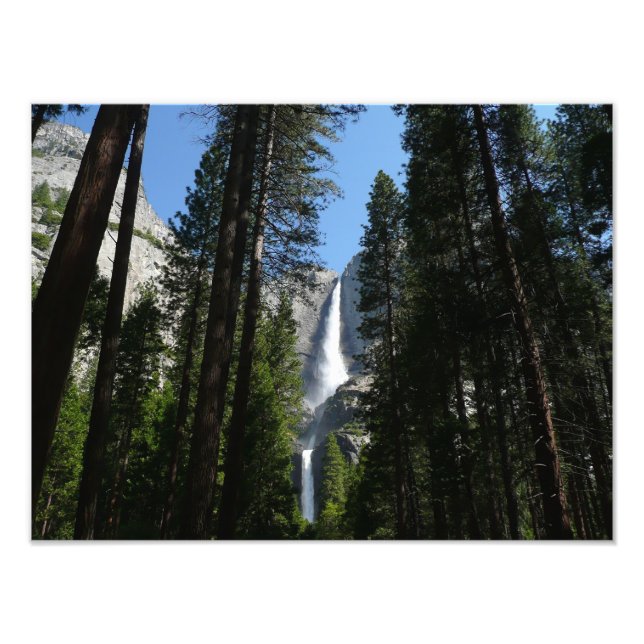 Yosemite Falls and Skogen Ligcape Photography Fototryck (Framsidan)