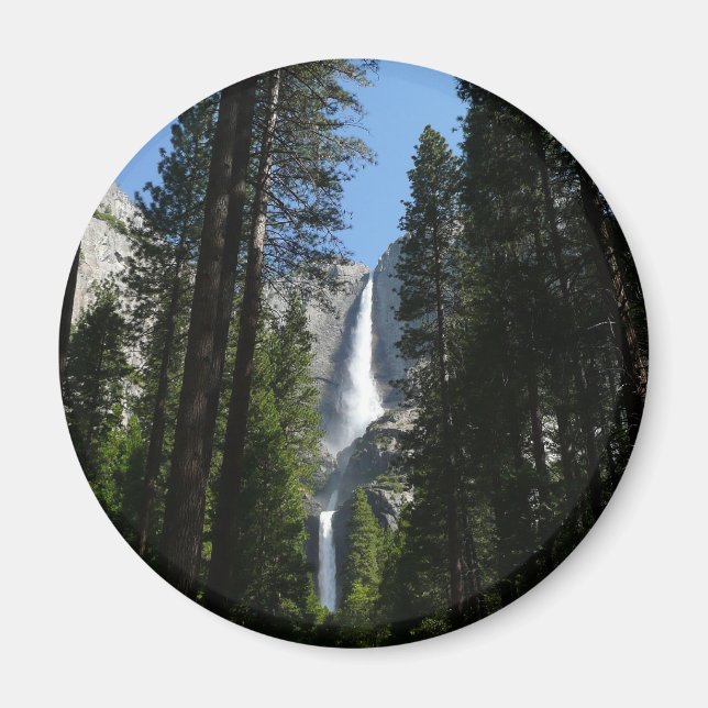 Yosemite Falls and Skogen Ligcape Photography Magnet (Framsidan)