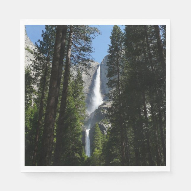 Yosemite Falls and Skogen Ligcape Photography Pappersservett (Framsidan)