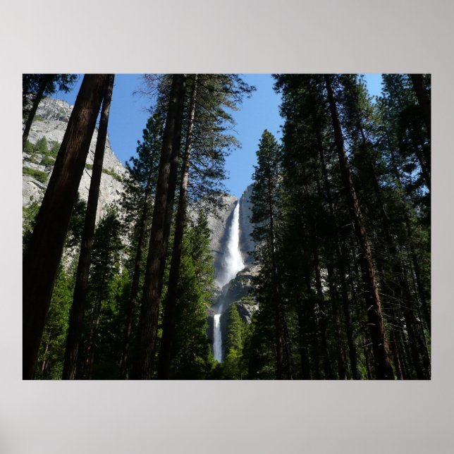 Yosemite Falls and Skogen Ligcape Photography Poster (Framsidan)