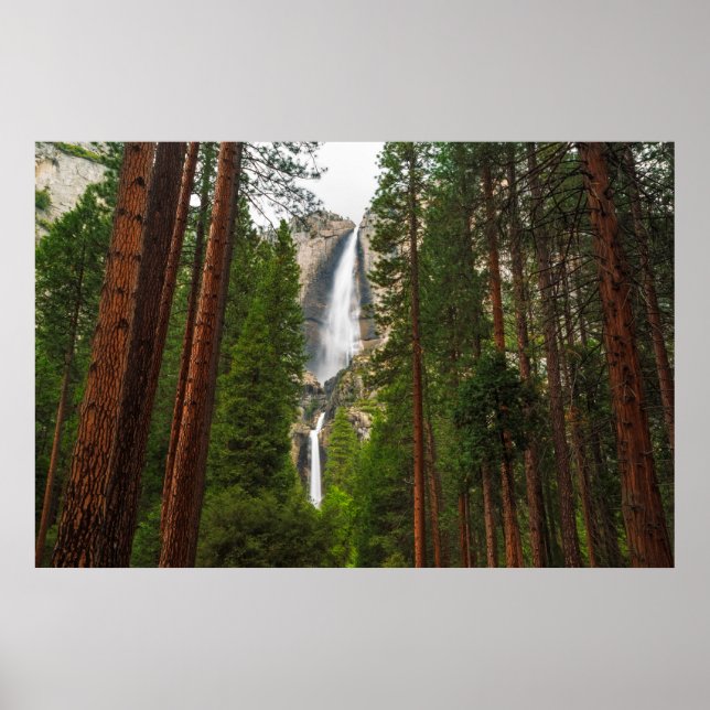 Yosemite Falls genom skogen Poster (Framsidan)