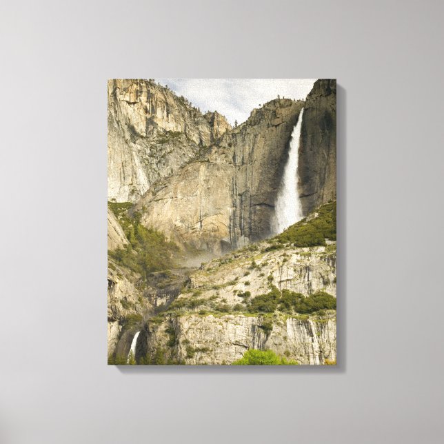 Yosemite Falls i vår, Yosemite National Pa Canvastryck (Framsida)