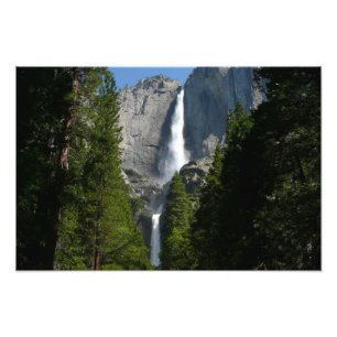 Yosemite Falls II från Yosemite National Park Fototryck