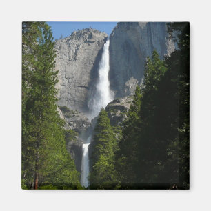 Yosemite Falls II från Yosemite National Park Magnet