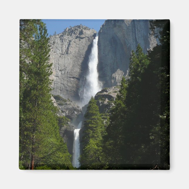 Yosemite Falls II från Yosemite National Park Magnet (Framsidan)