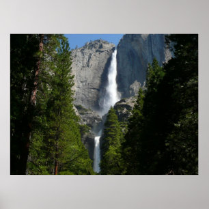 Yosemite Falls II från Yosemite National Park Poster