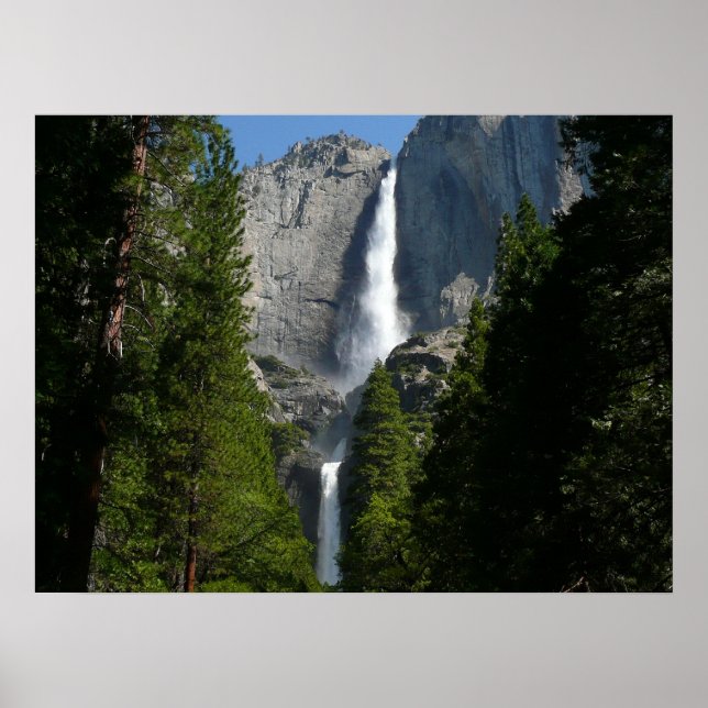 Yosemite Falls II från Yosemite National Park Poster (Framsidan)