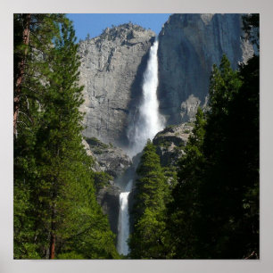 Yosemite Falls II från Yosemite National Park Poster