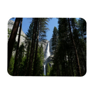 Yosemite Falls och Skogen Liggande foto Magnet