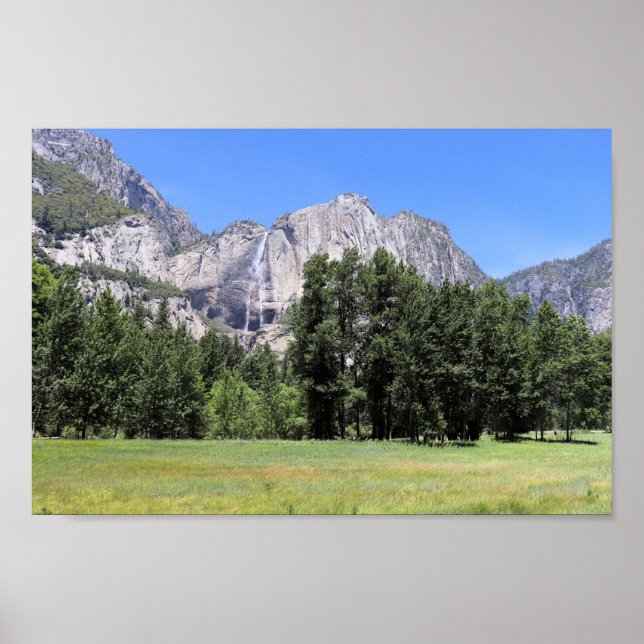 Yosemite Falls och Yosemite Valley Meadows Poster (Framsidan)