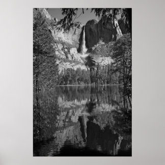 Yosemite Falls Reflection black and white Poster