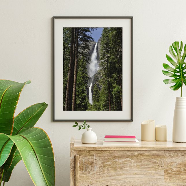 Yosemite Falls, Yosemite National Park Poster (Skapare uppladdad)
