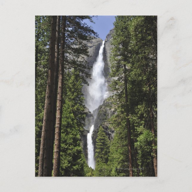 Yosemite Falls, Yosemite National Park Vykort (Framsida)
