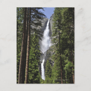 Yosemite Falls, Yosemite National Park Vykort
