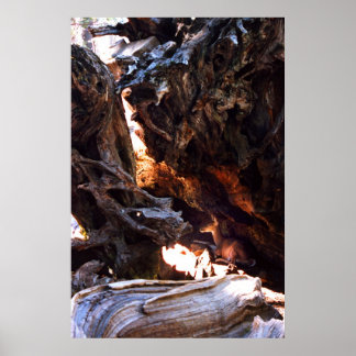 Yosemite Hjort Poster