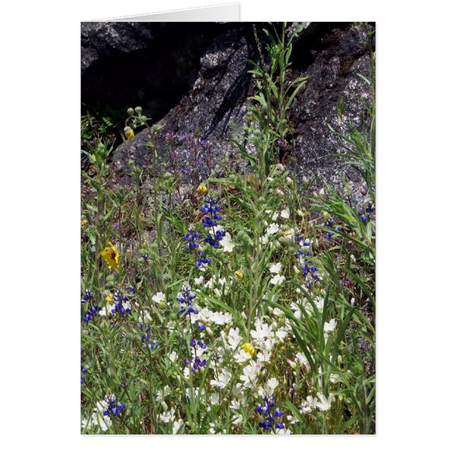 Yosemite i Springtime: Mountain Wildblommor OBS Kort (Framsidan)