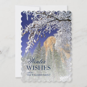 Yosemite inramade vid snö-täckte svart oaks