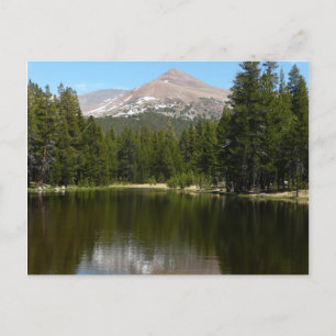 Yosemite Lake Reflection Vykort