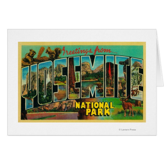 Yosemite National Park, California - Large Lette Hälsningskort (Framsidan Horizontal)
