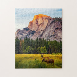 Yosemite National Park California Mountain Wildlif Pussel