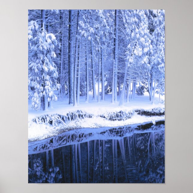 YOSEMITE NATIONAL PARK, CALIFORNIA. USA. Färsk Poster (Framsidan)