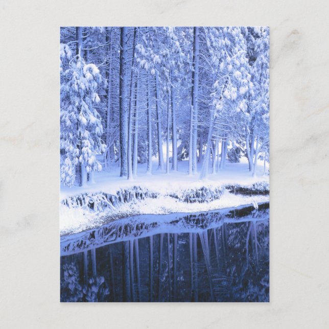 YOSEMITE NATIONAL PARK, CALIFORNIA. USA. Färsk Vykort (Framsida)