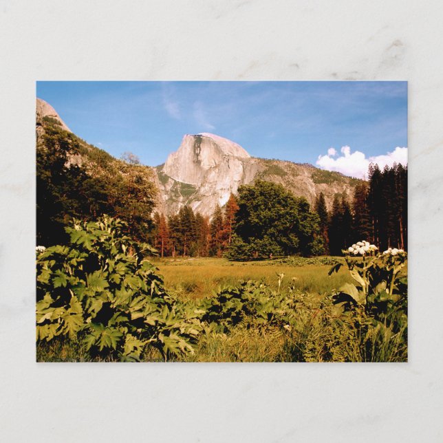 Yosemite National Park California vycard Vykort (Framsida)