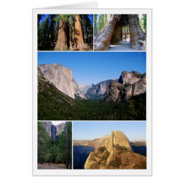 Yosemite National Park Collage Card Hälsningskort
