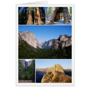 Yosemite National Park Collage Card Hälsningskort